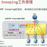 IGMP-Snooping