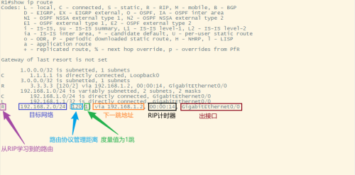 Cisco_RIP64c1dd5663483f85.png