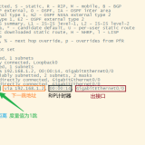 Cisco_RIP64c1dd5663483f85