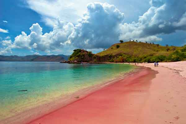 a.Pantai-Pink-Lombok---.jpg